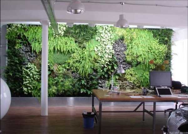 办公区间墙体绿化