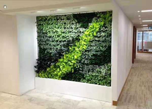 办公区间墙体绿化