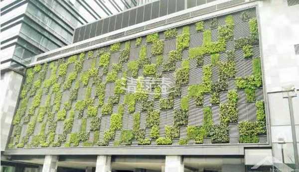 大厦墙体绿化