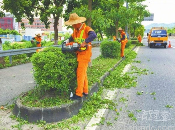 广州绿化工程哪家公司的实力比较强?